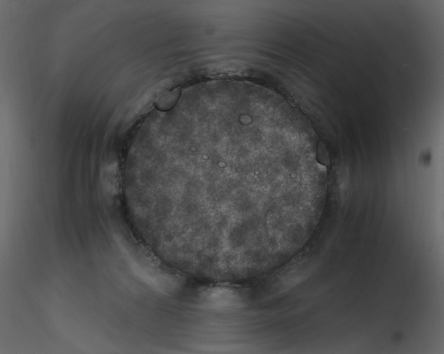 X0000115660224200912241405