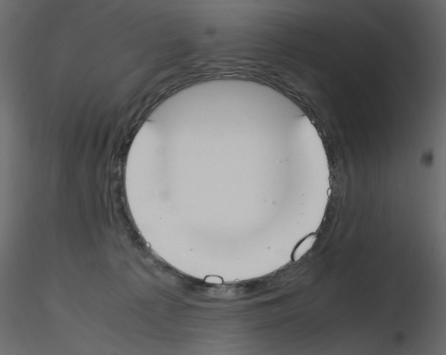 X0000115660225200912241405