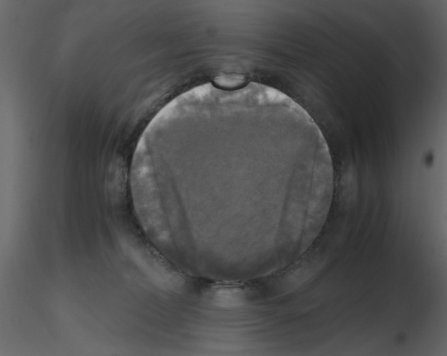X0000115660228200912241405