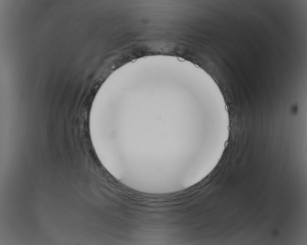X0000115660229200912241405