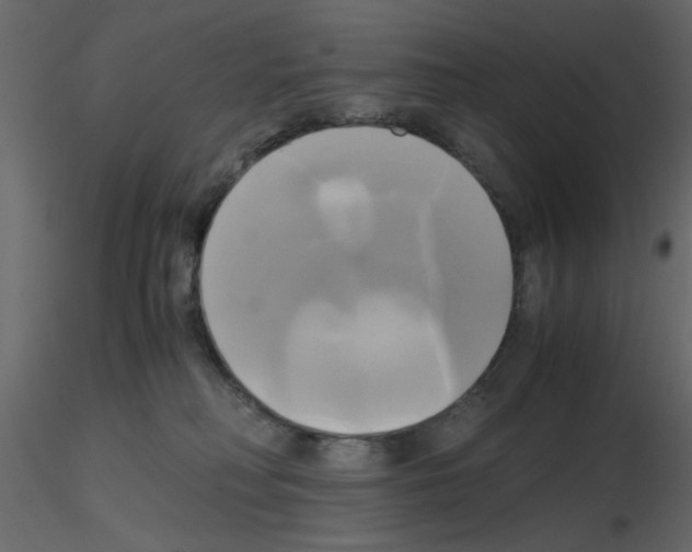 X0000115660230200912241405