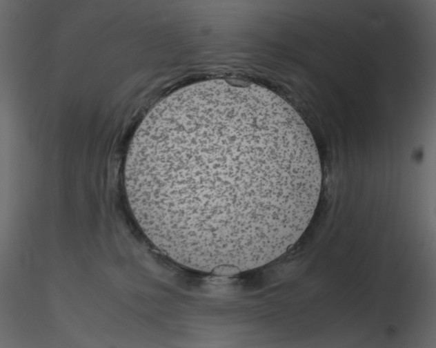 X0000115660231200912241405