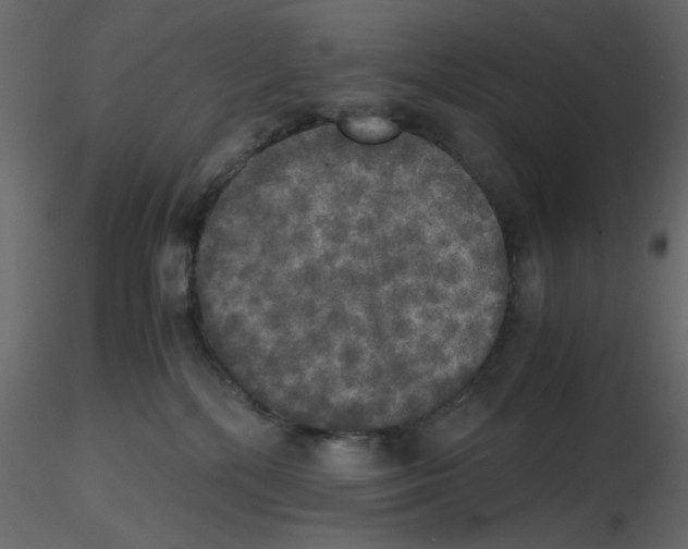 X0000115660232200912241405