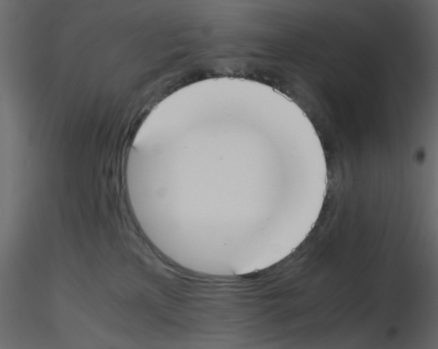 X0000115660233200912241405