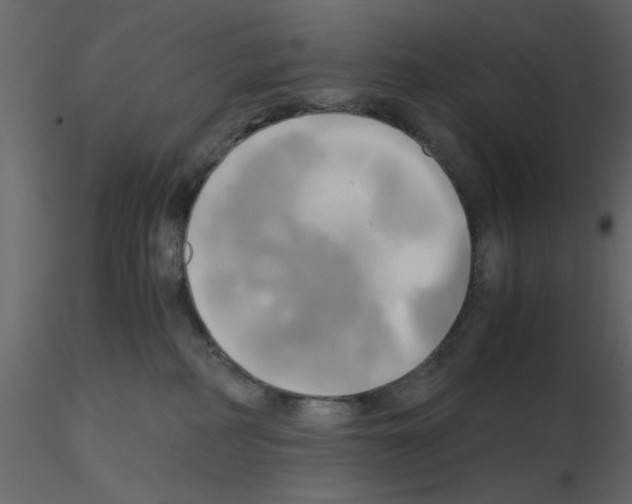 X0000115660234200912241405