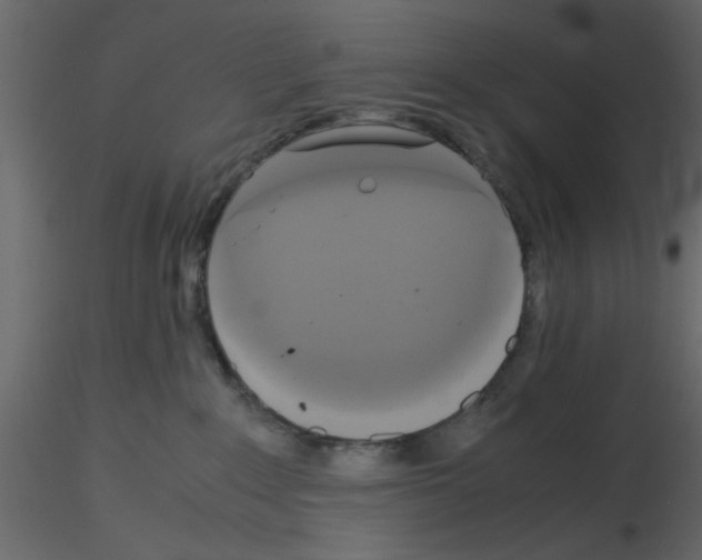 X0000115660235200912241405