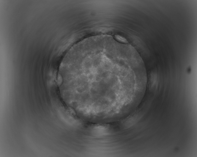 X0000115660236200912241405
