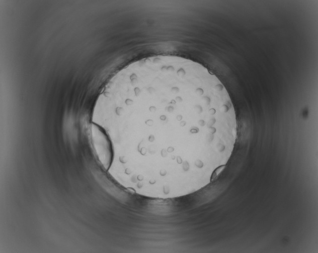 X0000115660238200912241405