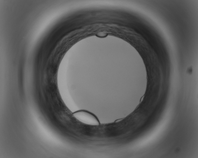 X0000115660239200912241405
