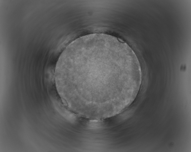 X0000115660240200912241405