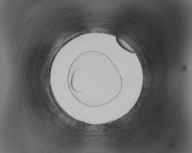 X0000115660241200912241404