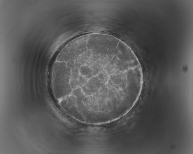 X0000115660242200912241404