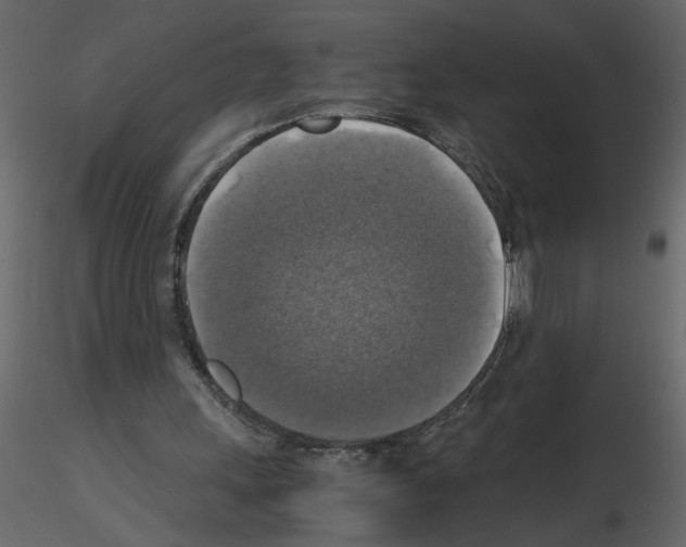 X0000115660243200912241404