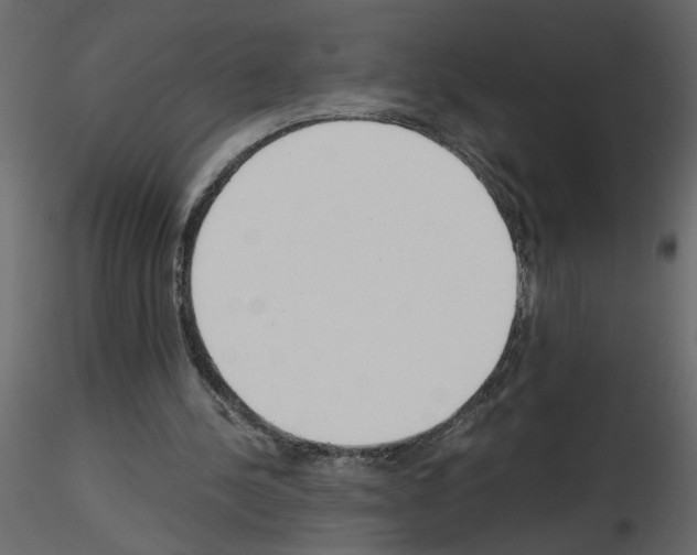 X0000115660244200912241404