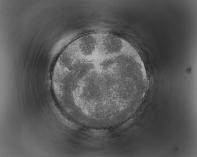 X0000115660245200912241405