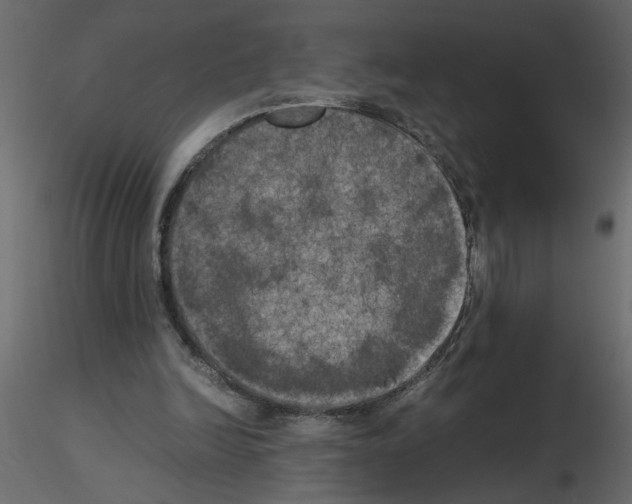 X0000115660246200912241405