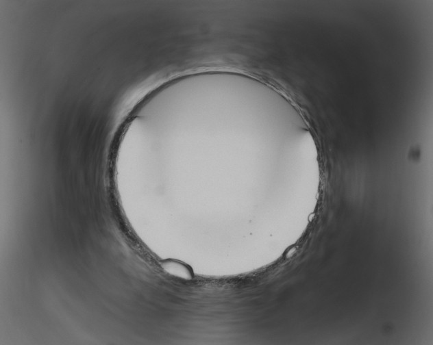 X0000115660248200912241405
