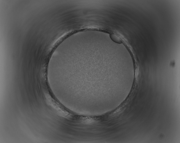X0000115660249200912241405
