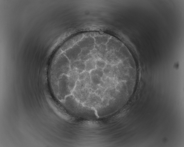 X0000115660250200912241405