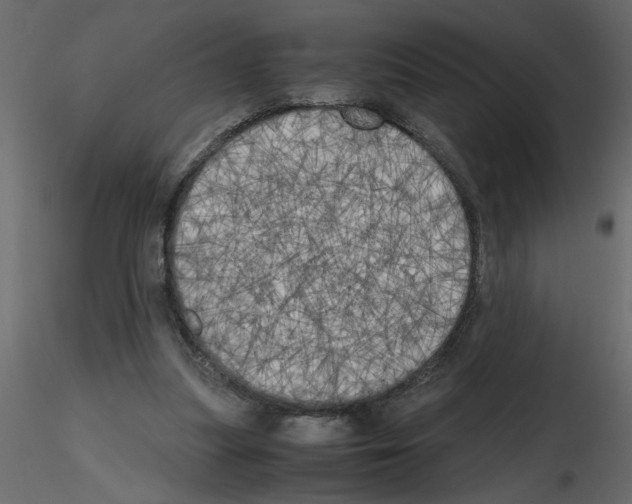 X0000115660251200912241405