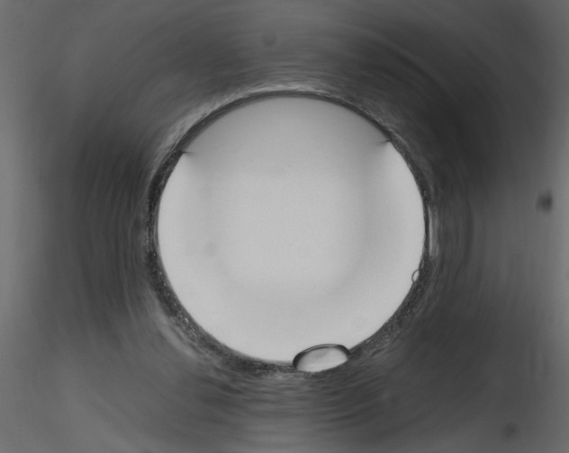 X0000115660252200912241405