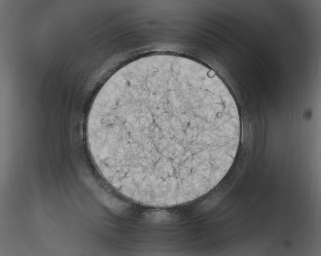 X0000115660253200912241405