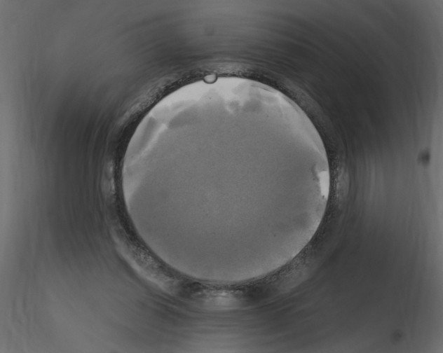 X0000115660254200912241405