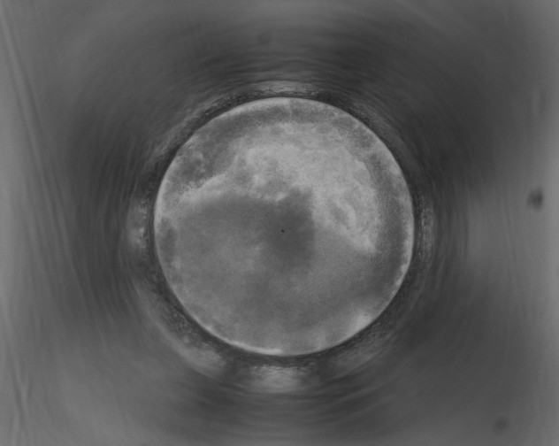 X0000115660255200912241405