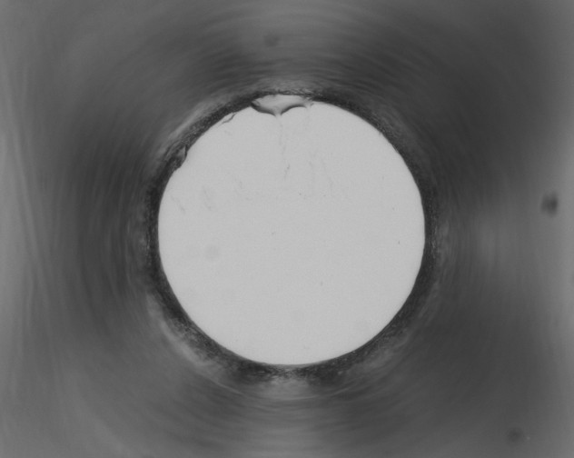 X0000115660256200912241405