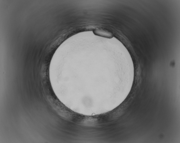 X0000115660257200912241405