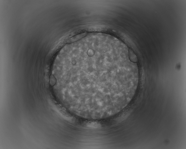 X0000115660258200912241405