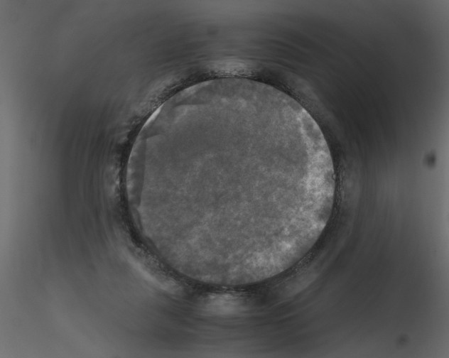 X0000115660259200912241405