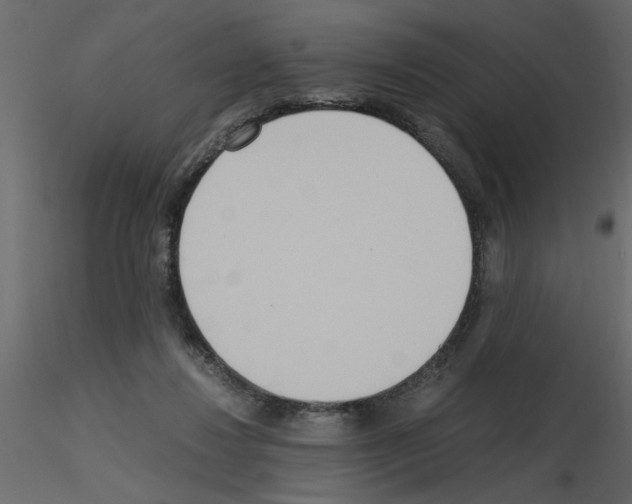 X0000115660260200912241405