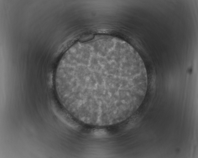 X0000115660262200912241405