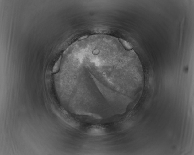 X0000115660263200912241405