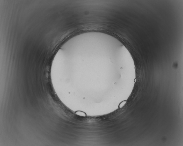 X0000115660264200912241405
