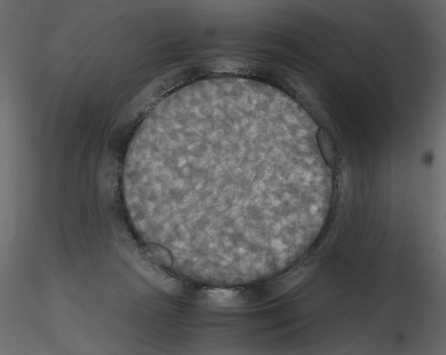 X0000115660265200912241405