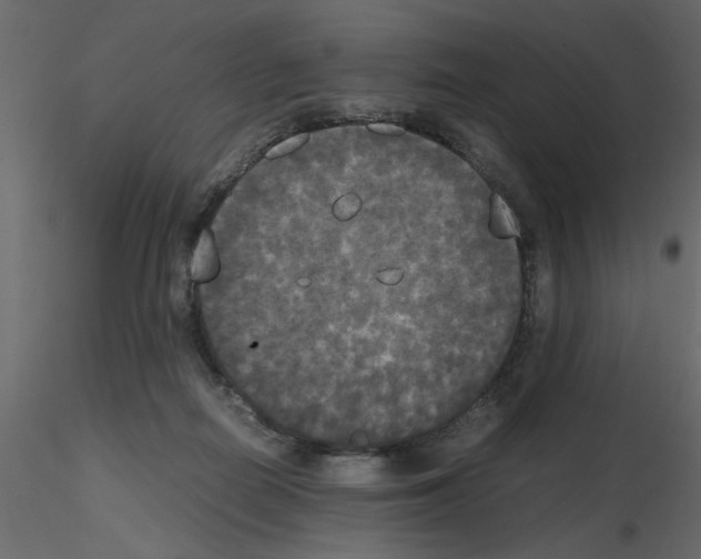 X0000115660266200912241405