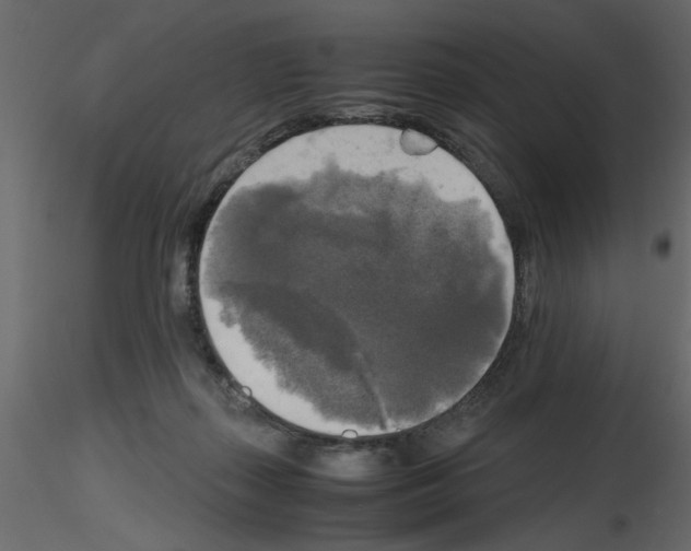 X0000115660267200912241405