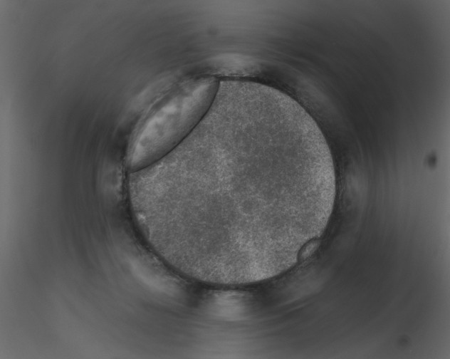 X0000115660268200912241405