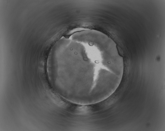 X0000115660269200912241405