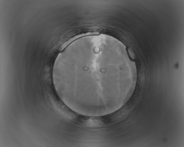 X0000115660270200912241405
