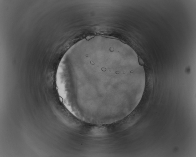 X0000115660271200912241405
