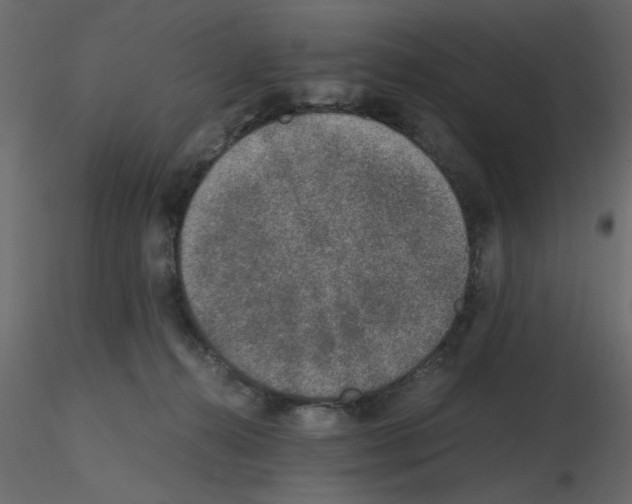 X0000115660272200912241405