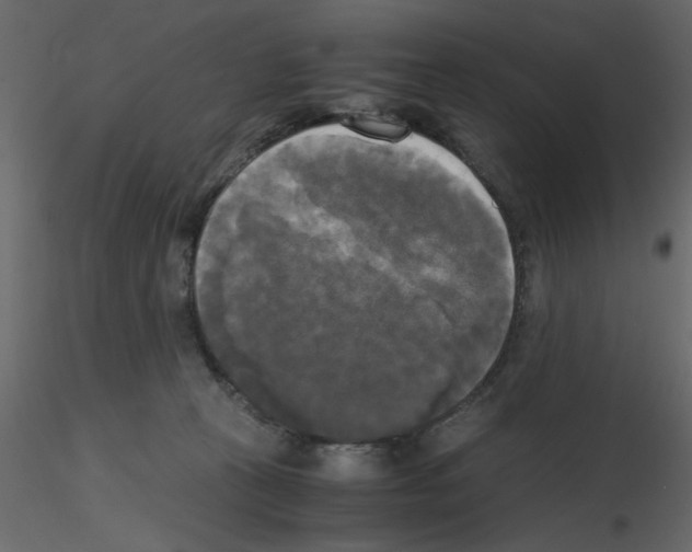 X0000115660273200912241405