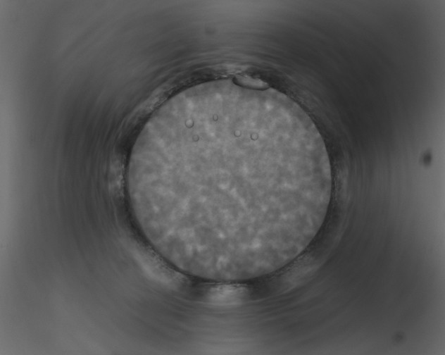 X0000115660274200912241405