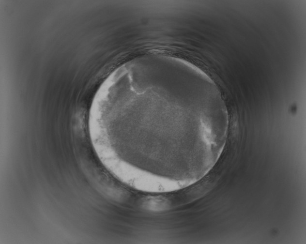 X0000115660275200912241405