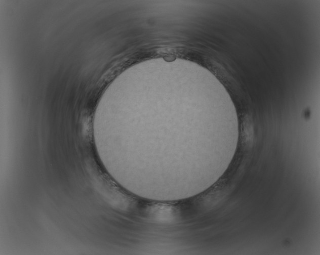 X0000115660276200912241405