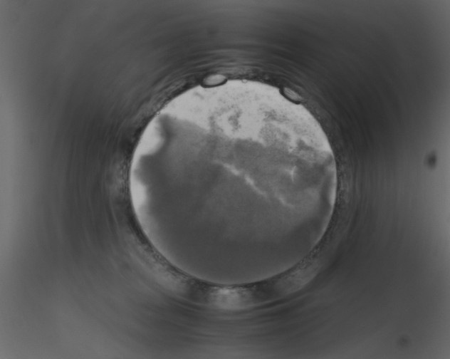 X0000115660277200912241405
