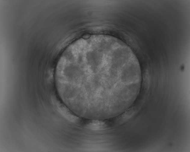 X0000115660278200912241405